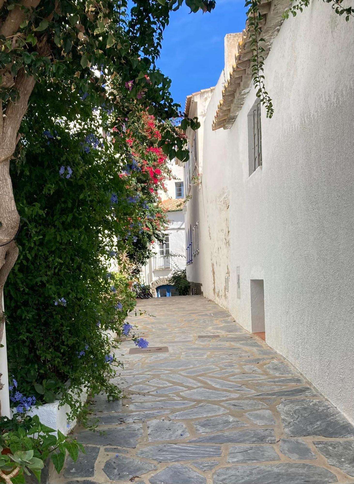 Apartamento Palau Cadaques Luaran gambar